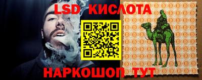 стафф Лесосибирск