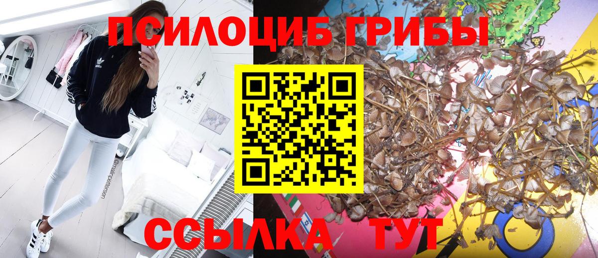 Галлюциногенные грибы мухоморы Калач-на-Дону