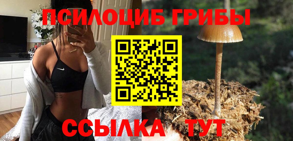 Калач-на-Дону  Cocaine  Конопля  ЭКСТАЗИ  Меф   Вход с VPN  Alpha PVP СК   MDMA  Где купить наркотики? 