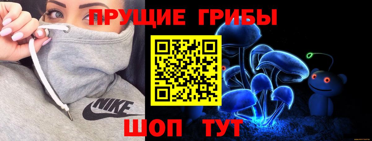 дарнет шоп  Псилоцибиновые грибы MAGIC MUSHROOMS  Калач-на-Дону  Вход с VPN  Псилоцибиновые грибы Magic Shrooms 